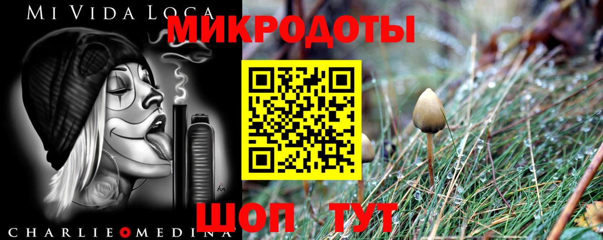 Галлюциногенные грибы ЛСД  Псилоцибиновые грибы мухоморы  Вход с VPN  наркошоп  Севастополь 