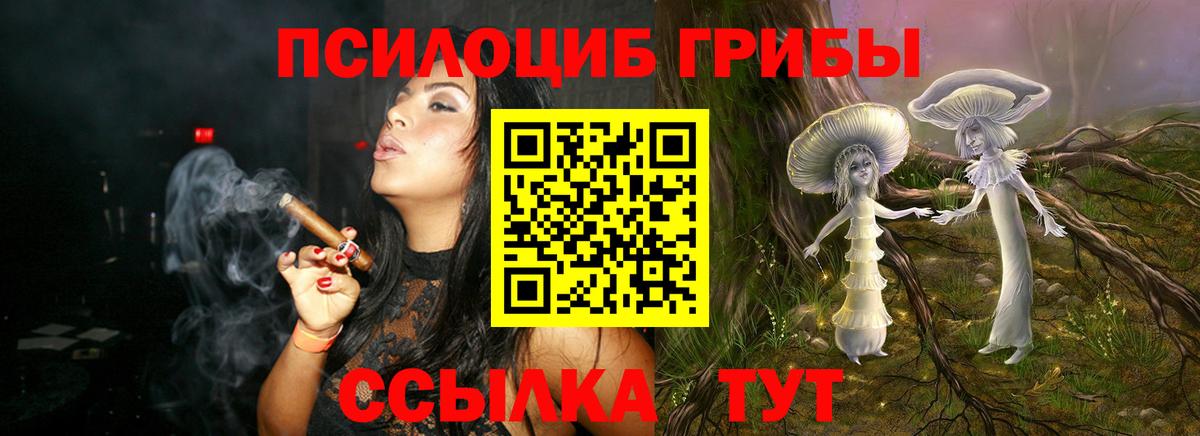 Галлюциногенные грибы Cubensis Севастополь